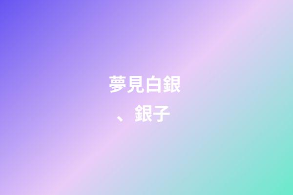 夢見白銀、銀子